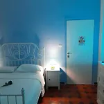 Arbostella Dream