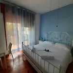 Arbostella Dream